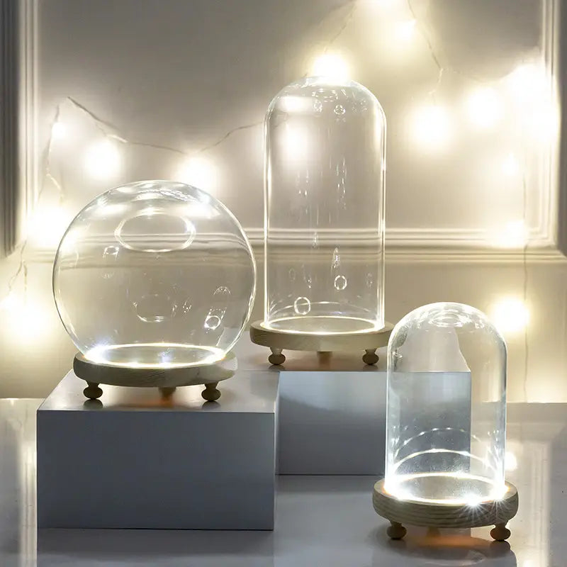 Glass Bell Jar Terrarium with LED Light