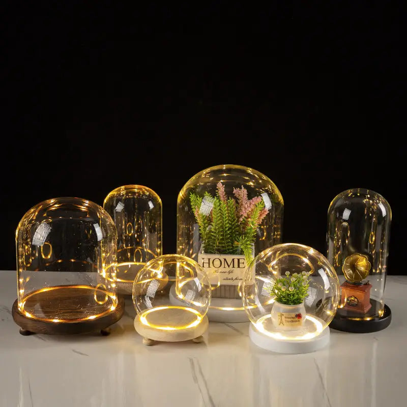 DecorBites™ Glass Bell Jar Terrarium with LED Light