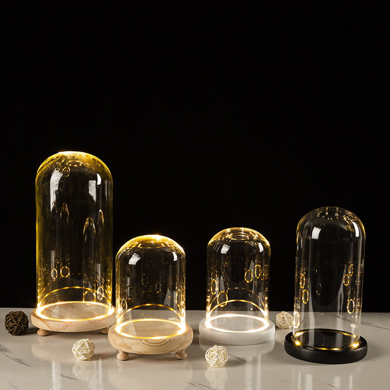 Glass Bell Jar Terrarium with LED Light