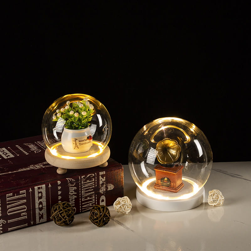 Glass Bell Jar Terrarium with LED Light