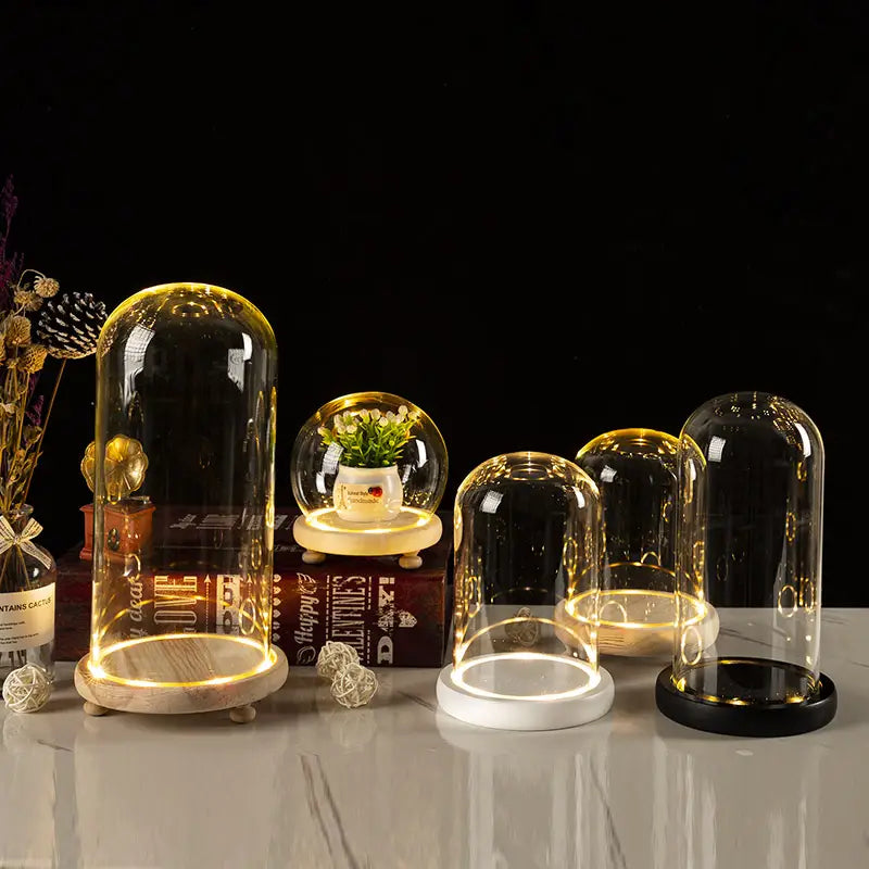 Glass Bell Jar Terrarium with LED Light
