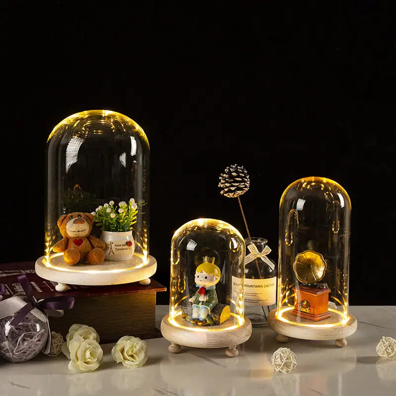 Glass Bell Jar Terrarium with LED Light