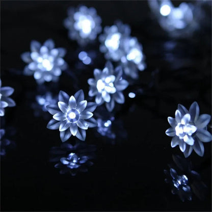 Peach Lotus Solar Fairy Lights