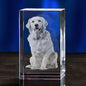 Personalized Crystal Pet Sympathy Keepsake