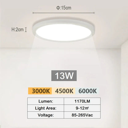 RUNTOIN Modern LED Ceiling Light