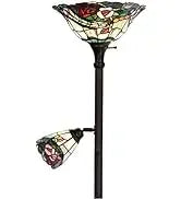 Ravens Moonlight Tiffany Floor Lamp