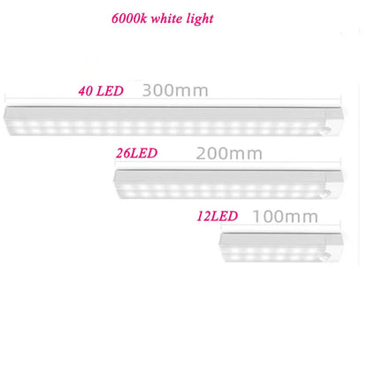 Rechargeable Motion Sensor LED Cabinet Light