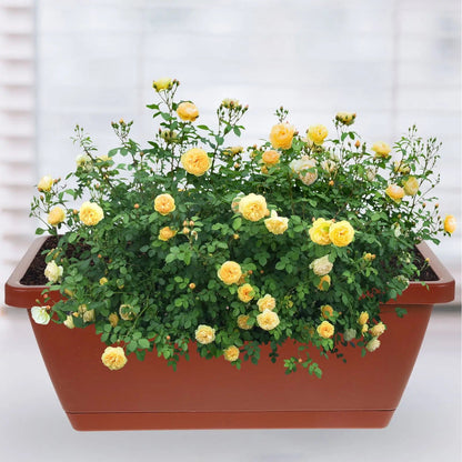 Rectangular Plastic Flower Pots Set