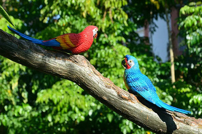 Resin Parrot Wall Decor Sculpture