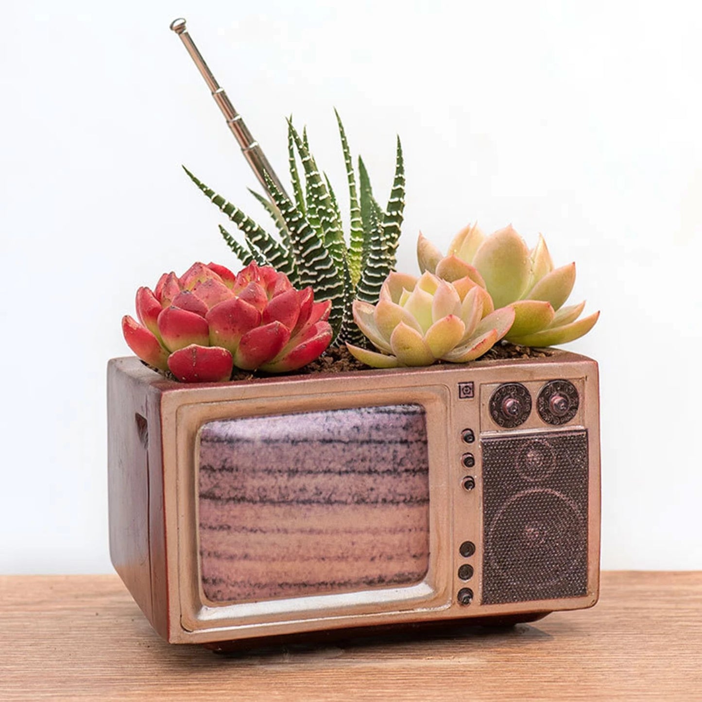 Retro Radio Planter for Succulents