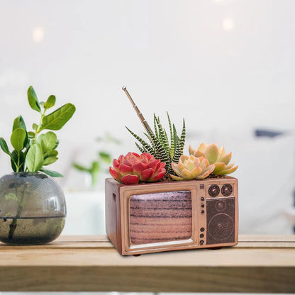 Retro Radio Planter for Succulents