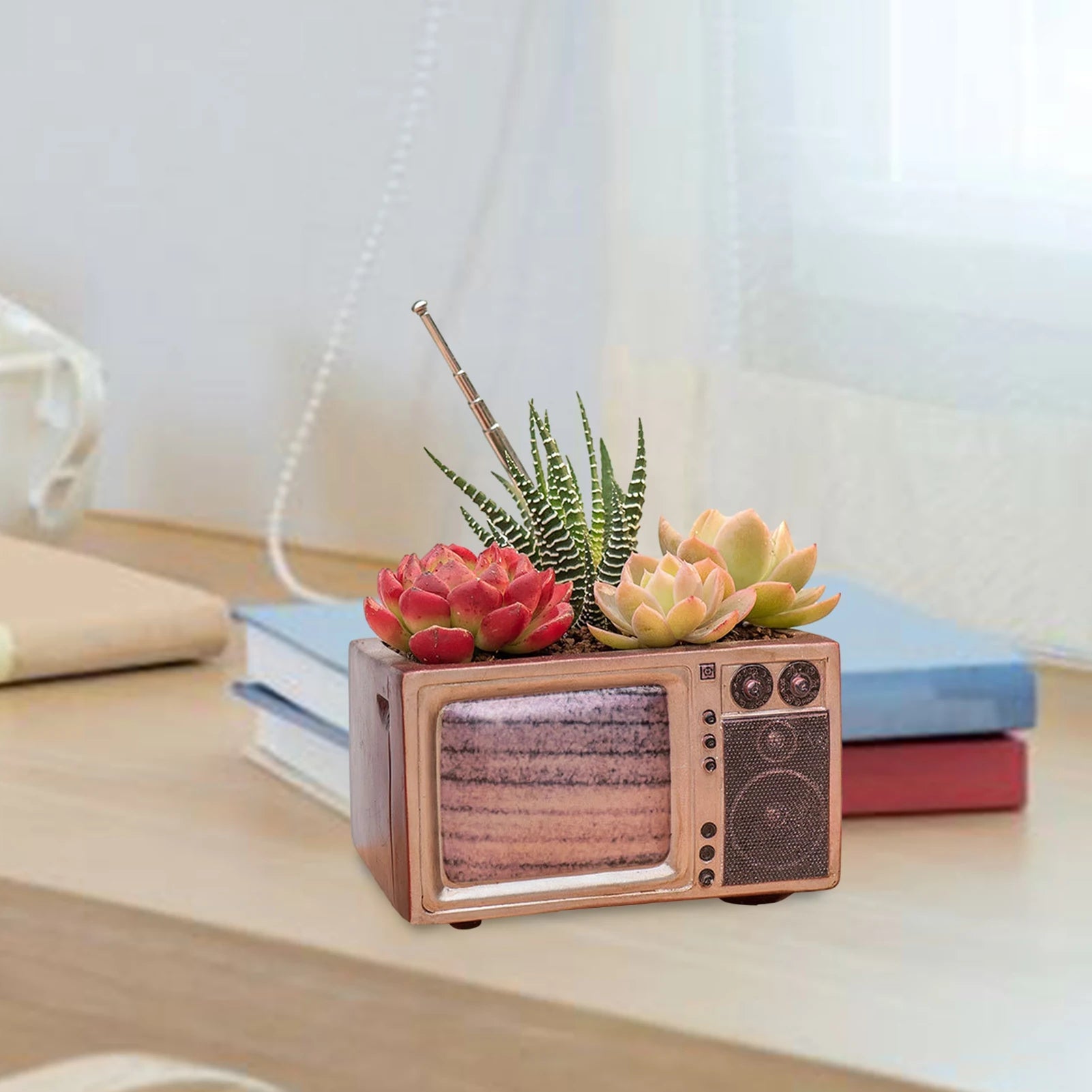 Retro Radio Planter for Succulents