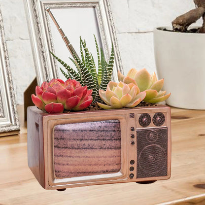 Retro Radio Planter for Succulents