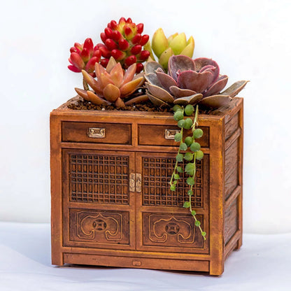 Retro Radio Planter for Succulents