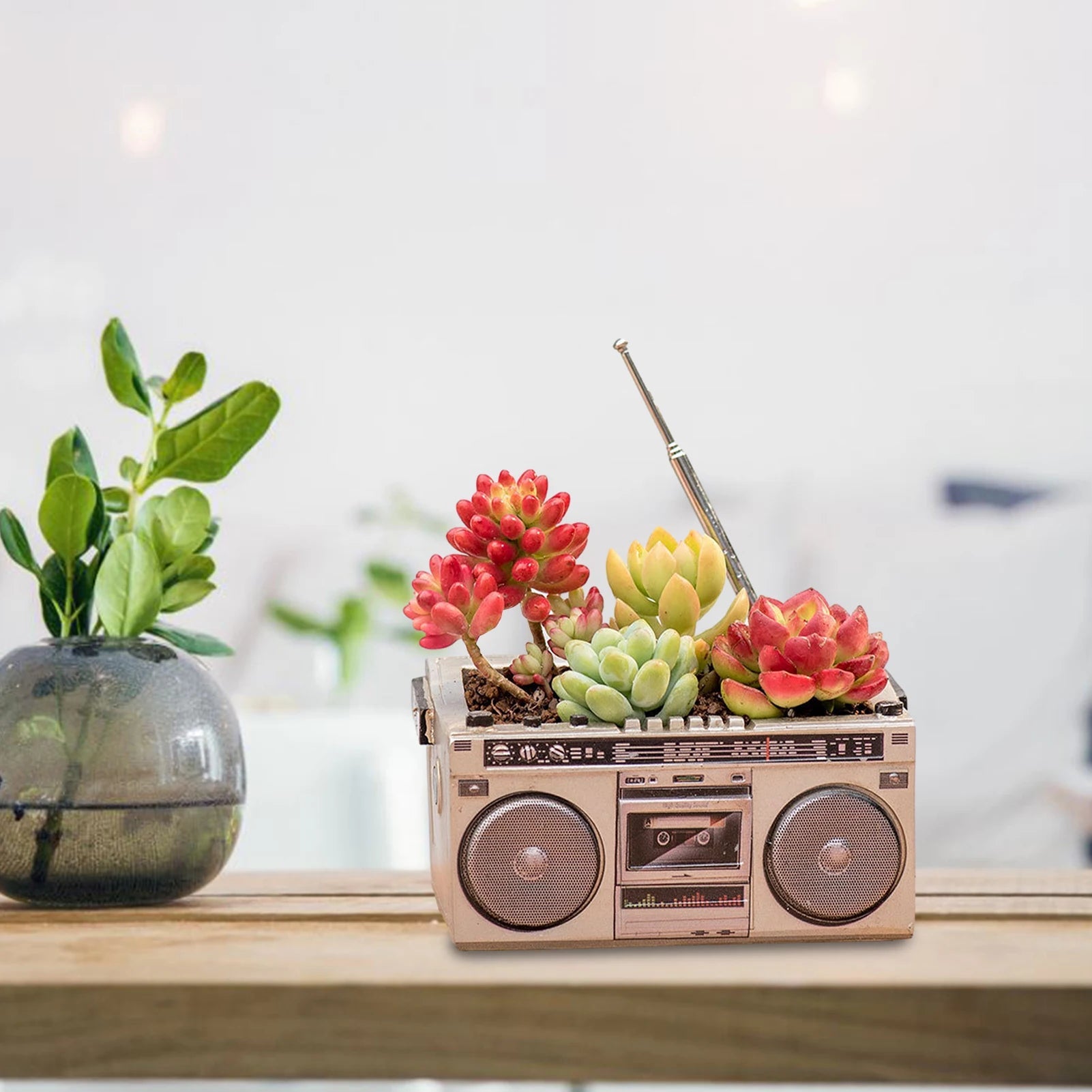 Retro Radio Planter for Succulents