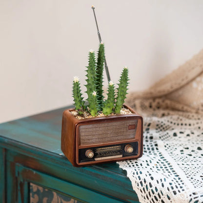 Retro Radio Planter for Succulents