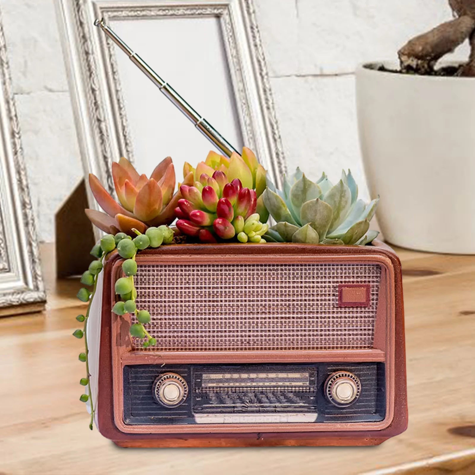 Retro Radio Planter for Succulents