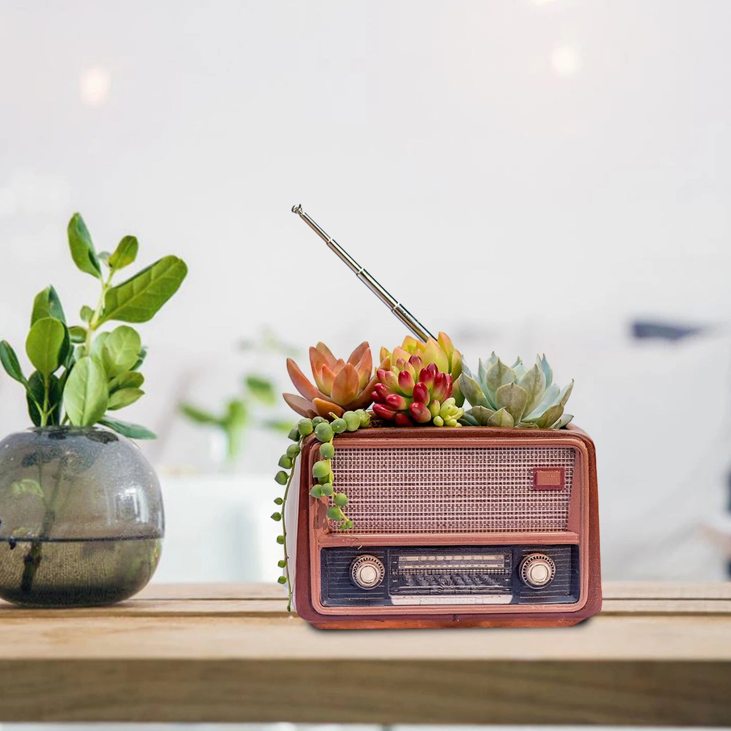 Retro Radio Planter for Succulents