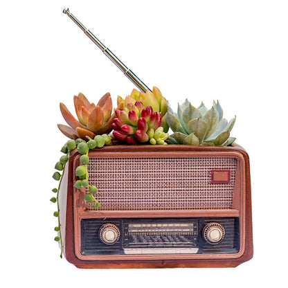 Retro Radio Planter for Succulents