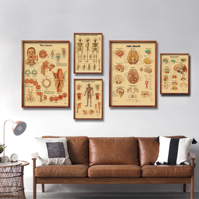 Retro Skeleton Anatomy Wall Poster