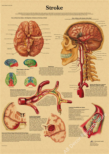 Retro Skeleton Anatomy Wall Poster