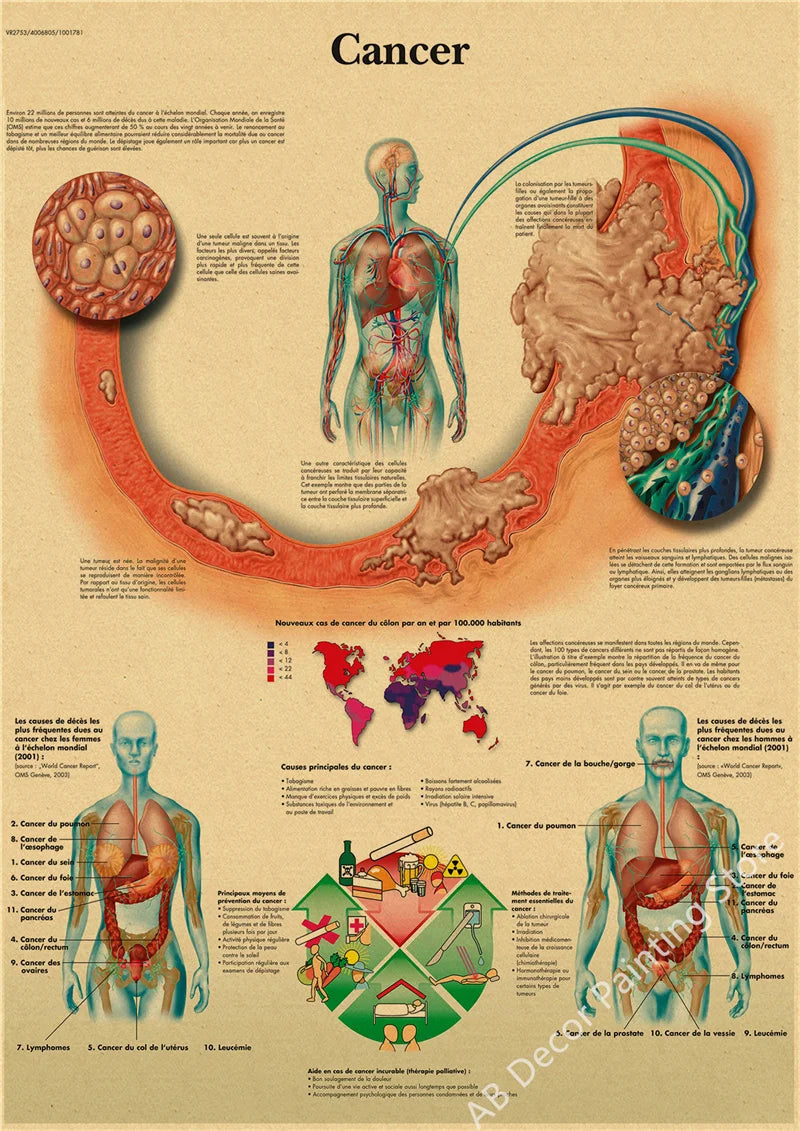 Retro Skeleton Anatomy Wall Poster