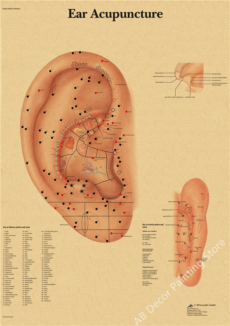 Retro Skeleton Anatomy Wall Poster