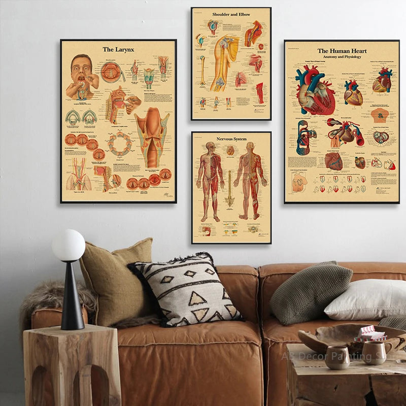 Retro Skeleton Anatomy Wall Poster