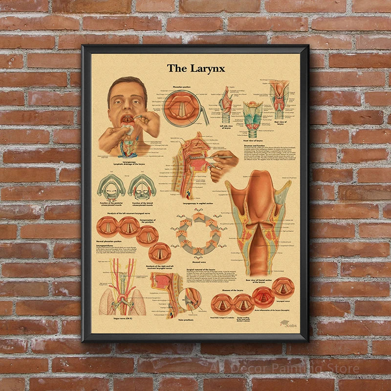 Retro Skeleton Anatomy Wall Poster