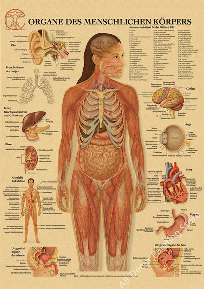 Retro Skeleton Anatomy Wall Poster