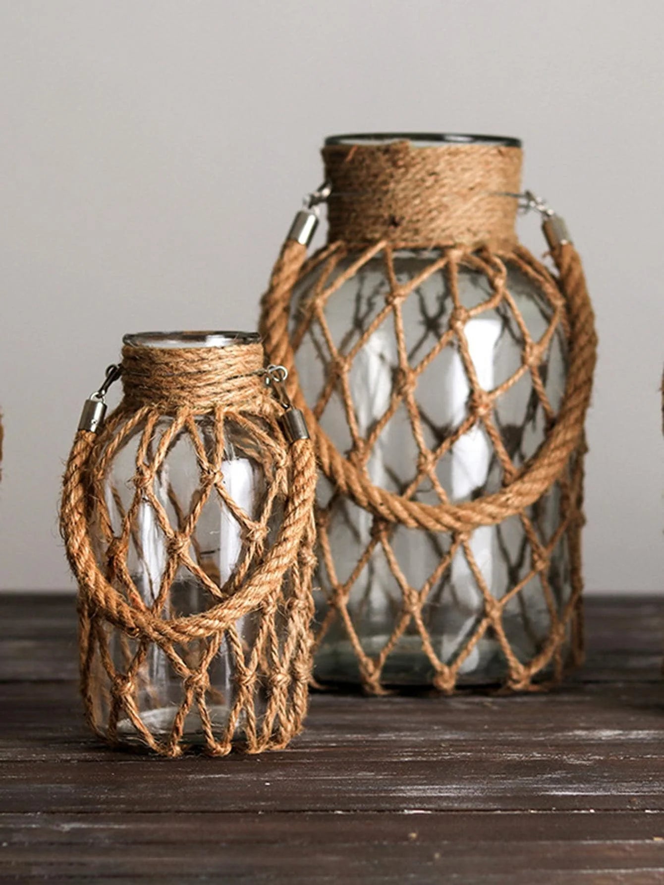 Rustic Glass Hanging Vase with Rope