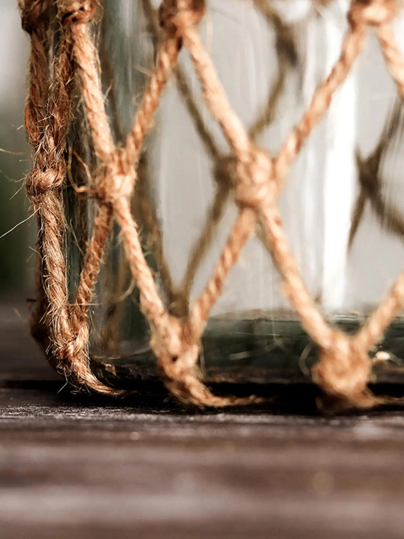 Rustic Glass Hanging Vase with Rope