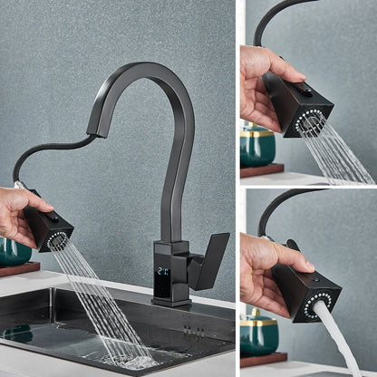 DecorBites™ Black Brass Kitchen Faucet with Digital Temperature Display & Dual Water Sprayer