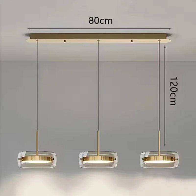 Modern Glass Ring Pendant Light in Iron