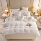 Decobites Plush Duvet Cover Set with Sheet Pillow Covers Luxury Winter Bedding