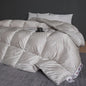 Decobites Luxury Goose Down Duvet Winter Comforter - Queen King Size Cozy Quilt Core