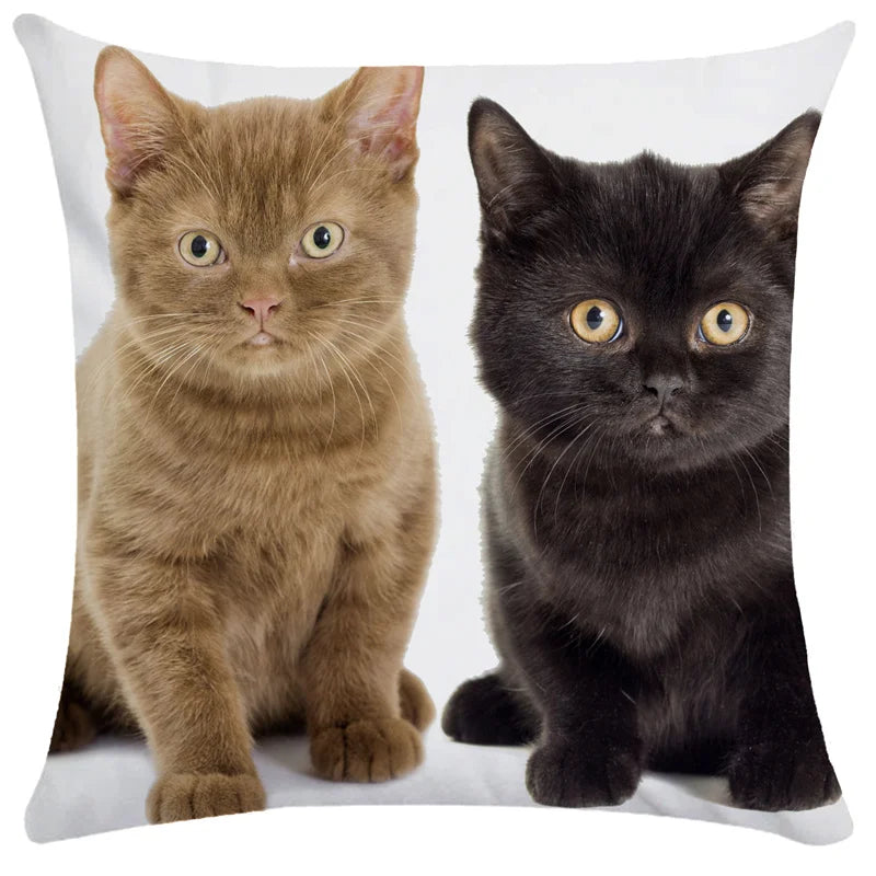 DecorBites™ Bubble Black Cats Cat Pillow Cases Sofa Home Decor Custom Cushion Cover