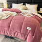 Decobites Winter Fleece Weighted Blanket Soft Warmth Comforter Duvet Core