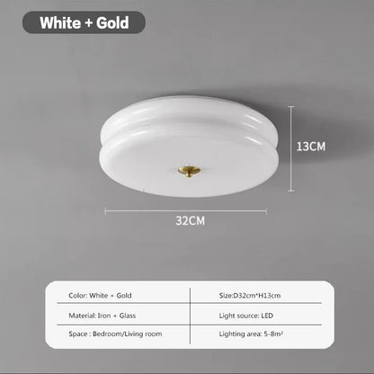 DecorBites™ Double Layer Glass LED Ceiling Lights for Home Decor and Lighting Fixtures
