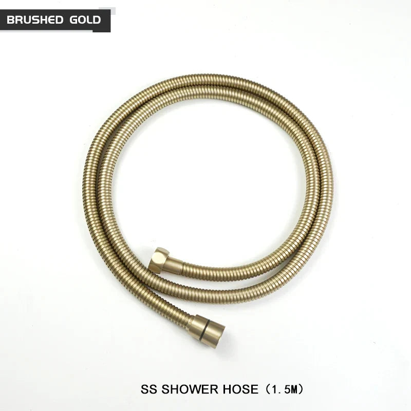 DecorBites™ Brass Handheld Shower Head in Brushed Golden Finish