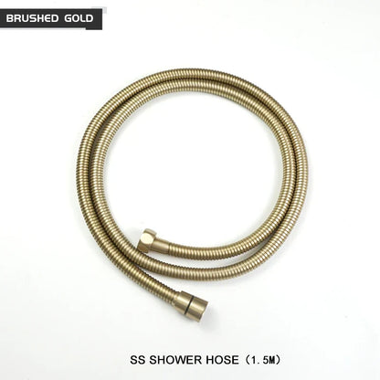 DecorBites™ Brass Handheld Shower Head in Brushed Golden Finish