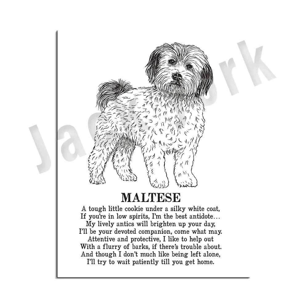 DecorBites™ Dog Breed Poster featuring Rhodesian Ridgeback, Havanese, and More