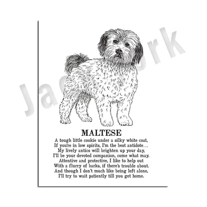 DecorBites™ Dog Breed Poster featuring Rhodesian Ridgeback, Havanese, and More