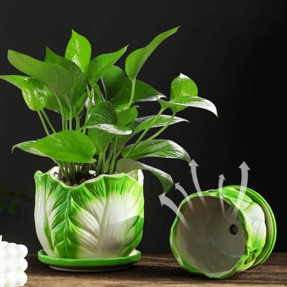 DecorBites™ Cabbage Flowerpot with Tray | Creative Cartoon Vegetable Basin | Indoor Garden Flower Vase