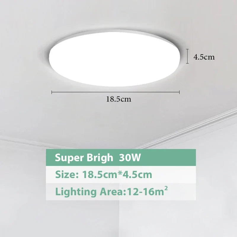 DecorBites™ LED Ceiling Lights for Modern Spaces