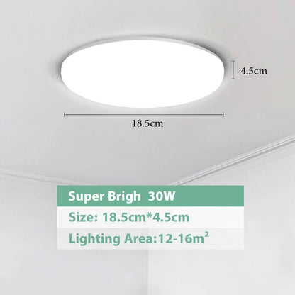 DecorBites™ LED Ceiling Lights for Modern Spaces