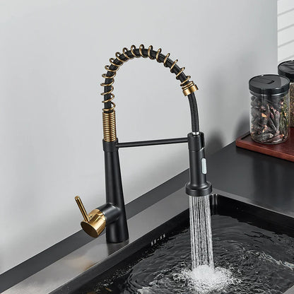 DecorBites™ Black Gold Kitchen Faucet with Pull Down Sprayer