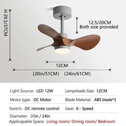 DecorBites™ 24-Inch Mini Ceiling Fan with Lights, Modern Design for Home and Office