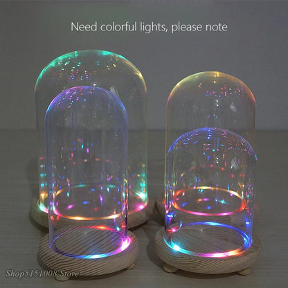 DecorBites™ Glass Dome Night Light with Dry Flower Ornaments on Wood Base