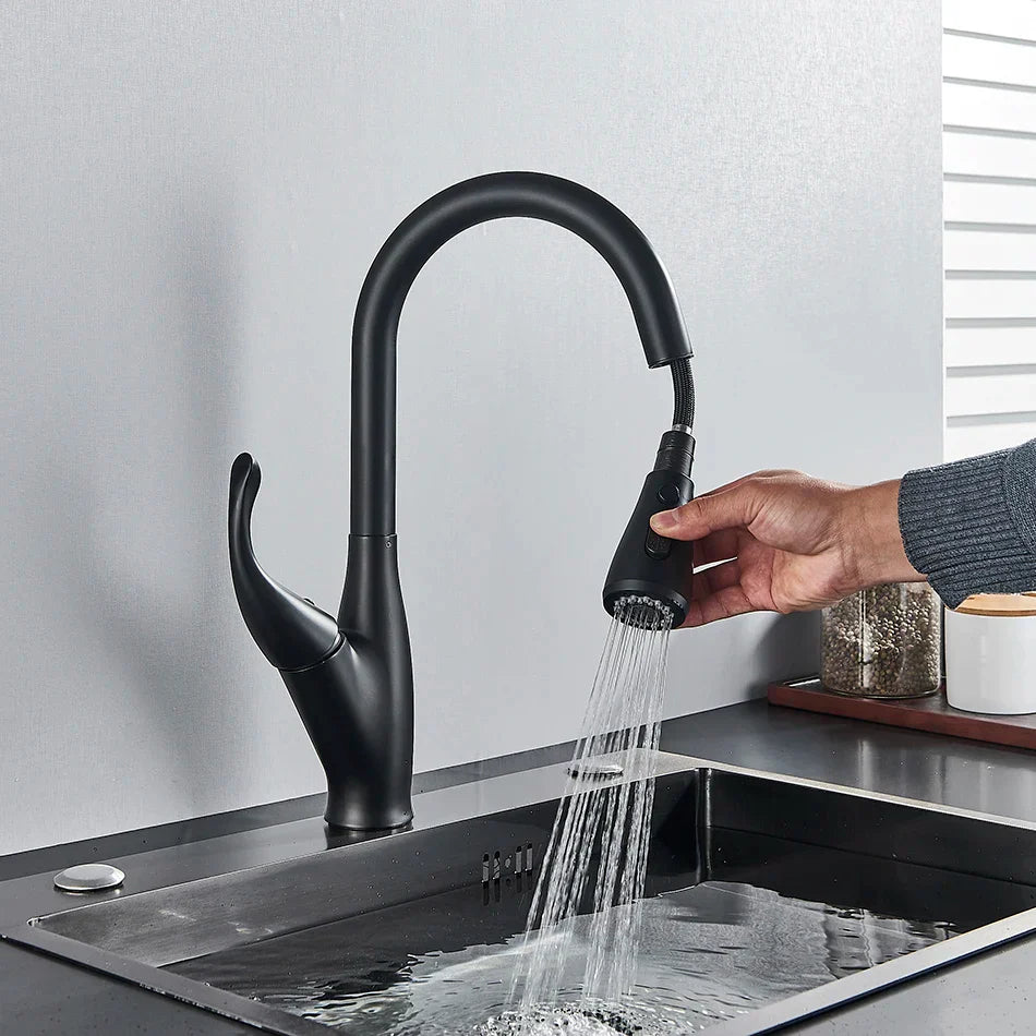 DecorBites™ Kitchen Faucet: Chrome/Black Pull Out Mixer with 2 Function Spout